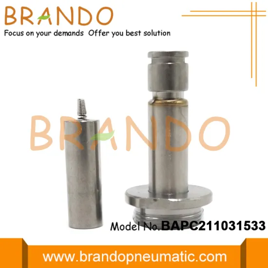 NC VX2120 Solenoid Valve Repair Kit Armature Assembly