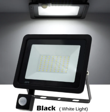 White Warm White IP66 AC220V Exterior Projector Spotlight