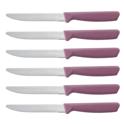 Colorful PP Handle Steak Knife Set by Real Manufacturer