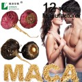 Maca Powder Macamides black maca extract