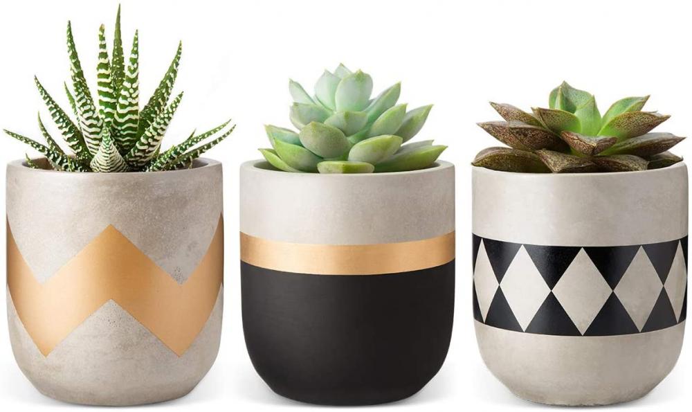 Cadeau de décoration intérieure pour petites plantes