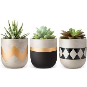 Kleine planten home decor cadeau