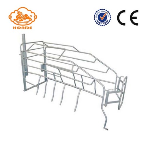 SST Galvanizado automático Srow Farrowing Crate para cerdos