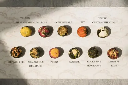 Chinese Organic Dragon Pearl Tea - Beautiful Gift Blooming Flower Tea