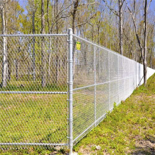 Canada High Quality Galvanized PVC Coated Chain Link Fence