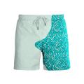 Change color in water Custom logo beach gym shorts pants