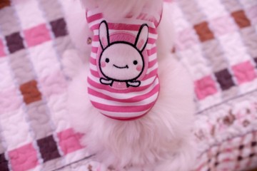 pet products/dog clothes/fashion dog vest/pet grooming
