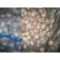 /msite/products/detail/productid/57627878/id/573198.html