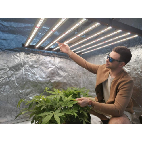 Barra de luz de cultivo hortícola estilo Spyder de Fluence