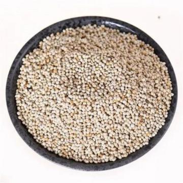 Perilla Seed Powder high quality