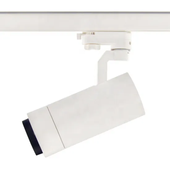 RONSE Light 30W Dimmable LED Track Lighting System for Home