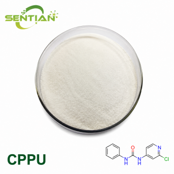 CPPU Forchlorfenuron Fruit Growth Regulator Supplier