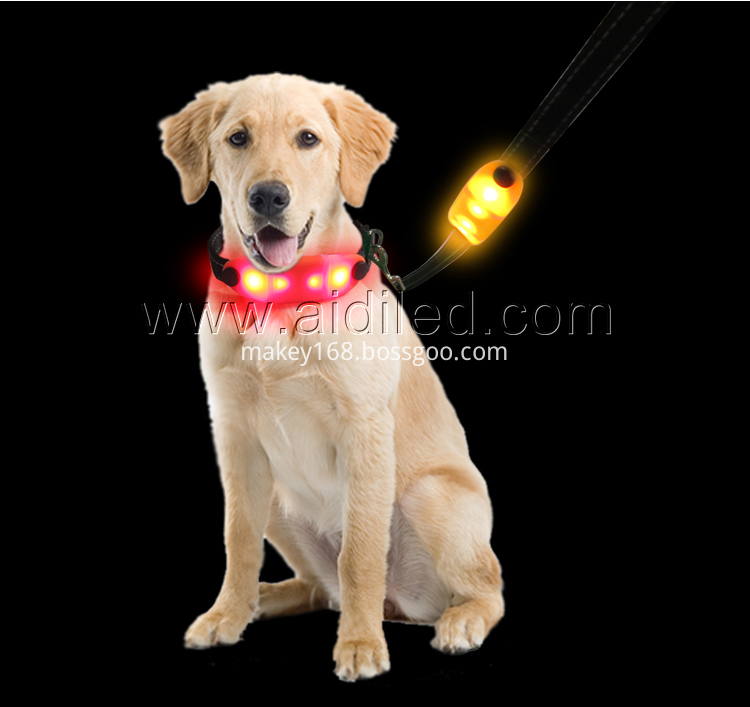 Led Flashing Dog Leash Led Flashing Dog Leash