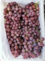 Yunnan Grapes fiyat düşüşü