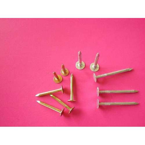 Clout Nails Electro Galvanized Clout Nails Factory