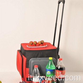Freezer per bevande fredde portatile all'ingrosso mini di fabbrica