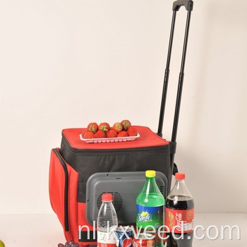 Fabriek groothandel mini draagbare koude drink vriezer
