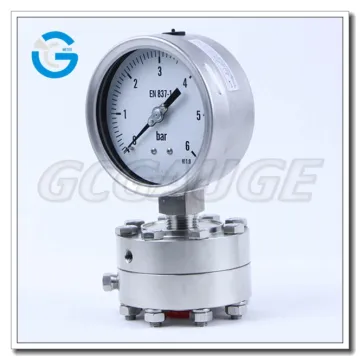 High Quality 4 inch stainless steel flush diaphragm pressure gauge