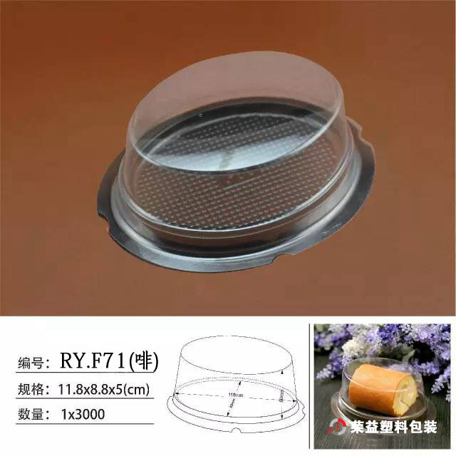 Transparent Plastic Storage Box