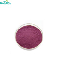 10:1 bilberry extract powder in stock