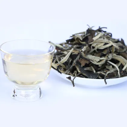 Best Selling Yunnan Organic Slimming Tea Moonlight White Tea