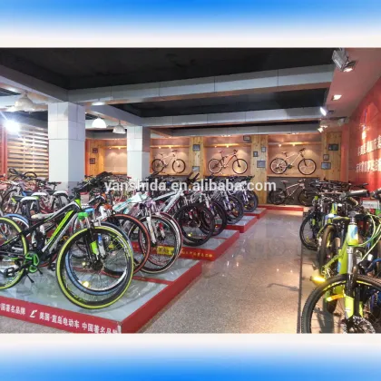 FIT 20'' snow bike/snow bike/kids snow bike/kids snow bike/fat bike/fat bikes/snowbike/snow bikes/best fat bike/fatbike                        
                                                Quality Assured