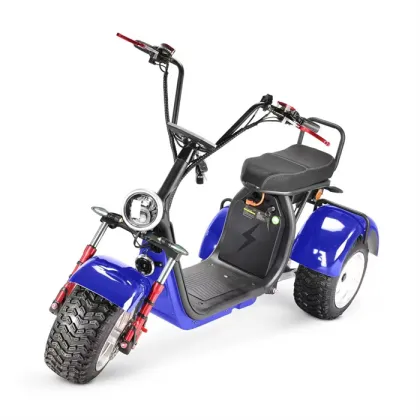 Sunra Electric Express Tricycle: Professional Manufacturer's 4000W Recreational Electric Tricycle