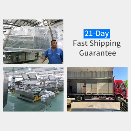 Pregnancy Test Stick Cartoning Box Machine