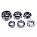 Double-Row Miniature Angular Contact Ball Bearing 7412 S6004