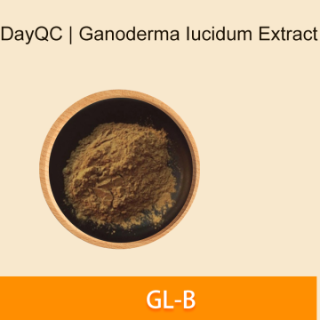 Ganoderma Lucidum Extrait de poudre