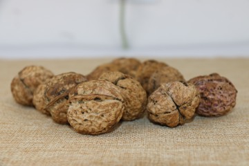 Eco-Friendly Unwashed Walnuts in Bulk Shell