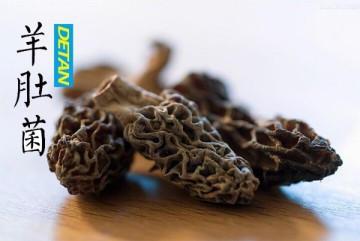 Dried morels Wild Hot Sell New Season