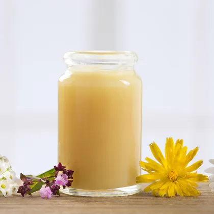 Bee milk organic natural fresh royal jelly for sale