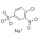 Name: Benzenesulfonic acid,4-chloro-3-nitro-, sodium salt (1:1) CAS 17691-19-9