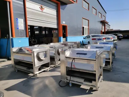 Automatic Customizable Cleaning Peeling Machine for Oysters, Shellfish, Ginger, and Potatoes