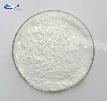 CAS 110958-19-5 Fasoracetam in Stock Fast Delivery