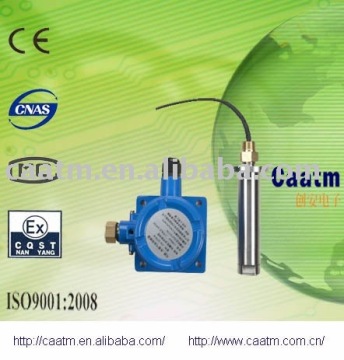 CA-217A-K High-temperature Natural Gas Probe