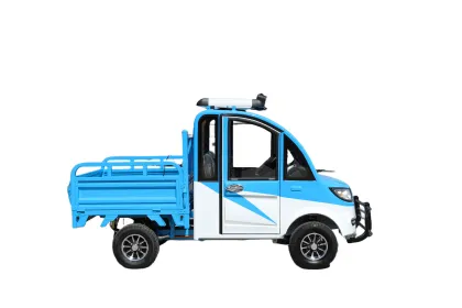 Mini Four-Wheel Electric Pickup