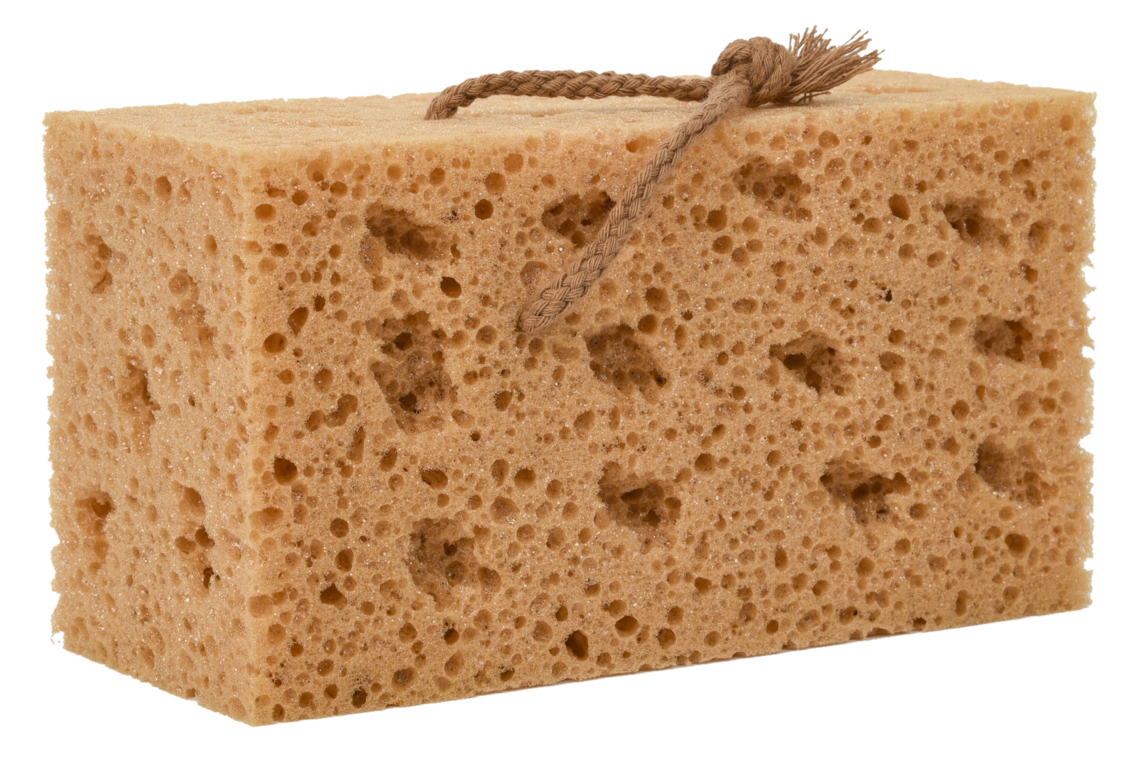car wash sponge
