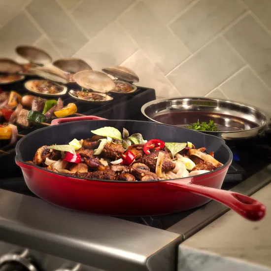 Non-Stick Enamel Cast Iron Fry Pan for Cast Iron Cookware Set