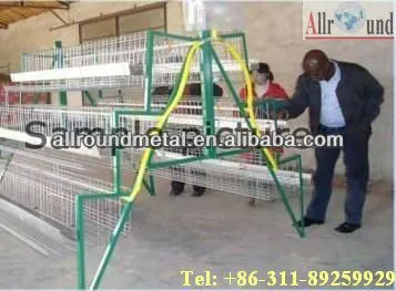 Chicken raising equipment automatic for Broiler  