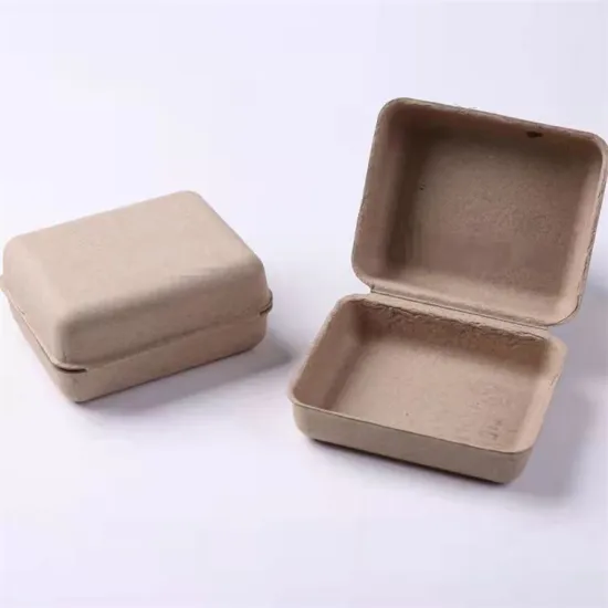 Biodegradable Molded Pulp Clamshell Packaging Box