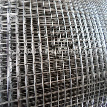 hot dipped galvanized bird cage welded wire mesh roll