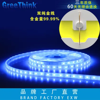 DC12V IP65 Blue Strips Led Lights