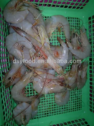 Frozen King Banana Prawn Price