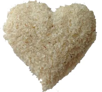 Dietary Fiber Psyllium Seed Husk Fiber Powder