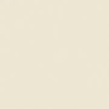 400x400mm&500x500mm Soluble Salt Small Size Floor Tile(JP4001/JP5001)