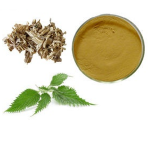 Inspection Service EU Organic Nettle Root Extract Powder