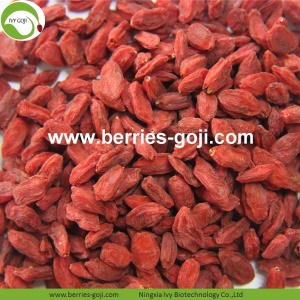 Alimentation Nutrition Super Food Red Wolfberries