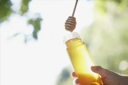 100% Pure Honey Organic,natural honey